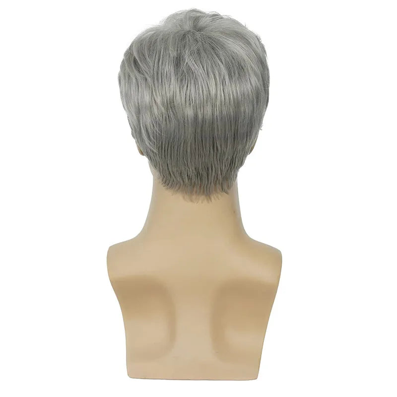 MEN'S SENSE BEAUTY Sylhair Men Wigs Short Silver Gray Wig Male Guy Short Layered Cosplay Costume Party Synthetic Heat Resistant Natural Hair