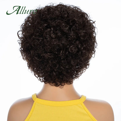 Short SENSE Short Pixie Afro Kinky Curly Wigs for Black Women Glueless Natural Brown Bob Wig With Bangs Jerry Curly Human Hair Wigs Allure