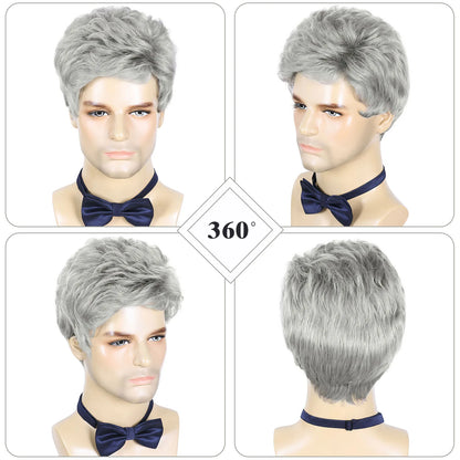 MEN'S SENSE BEAUTY BCHR Mens Grey Wigs Natural Fluffy Layered Synthetic Hair Daily Halloween Wig for Men Male